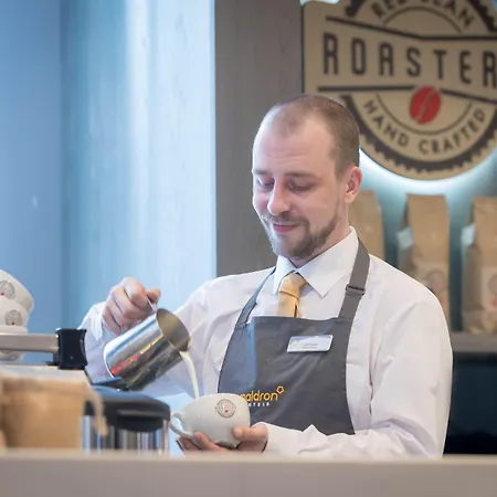 Maldron Kevin Street, Отель 4*