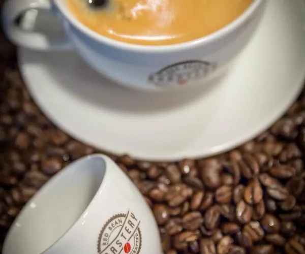 Отель Maldron Kevin Street,